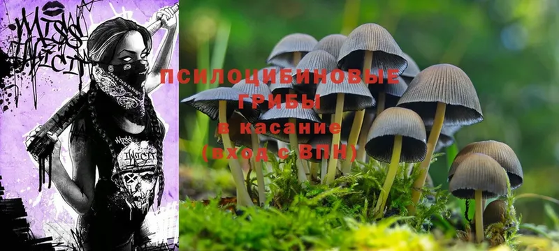 где продают наркотики  Фурманов  Галлюциногенные грибы MAGIC MUSHROOMS 